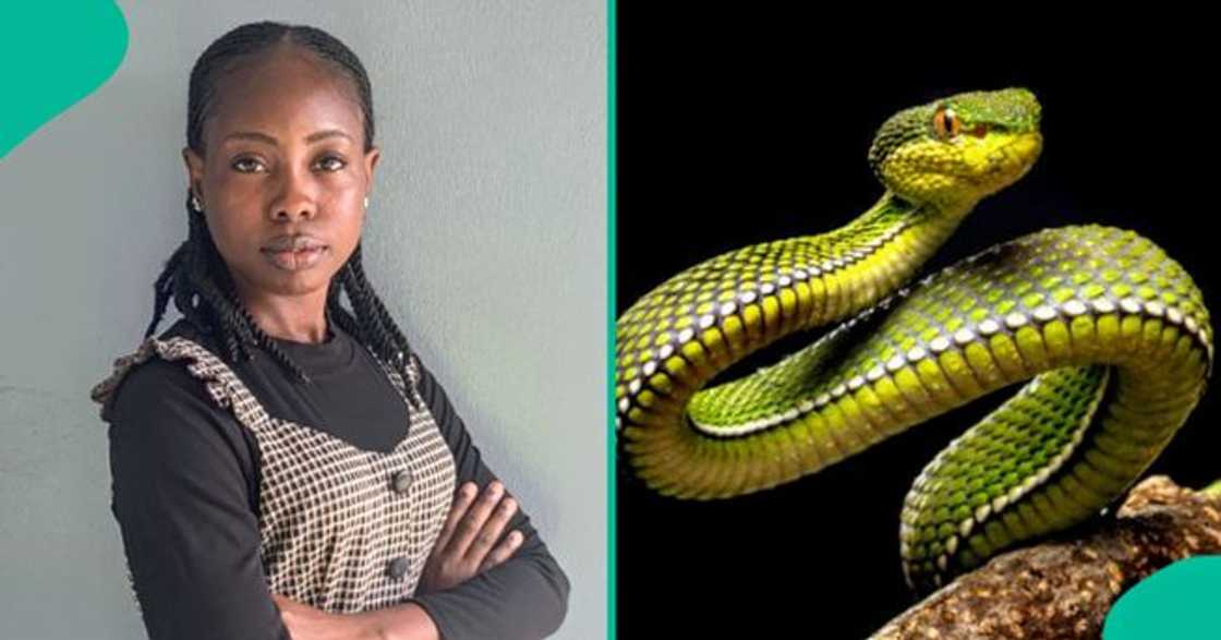 Lady shares what prevented a deadly snake bite.