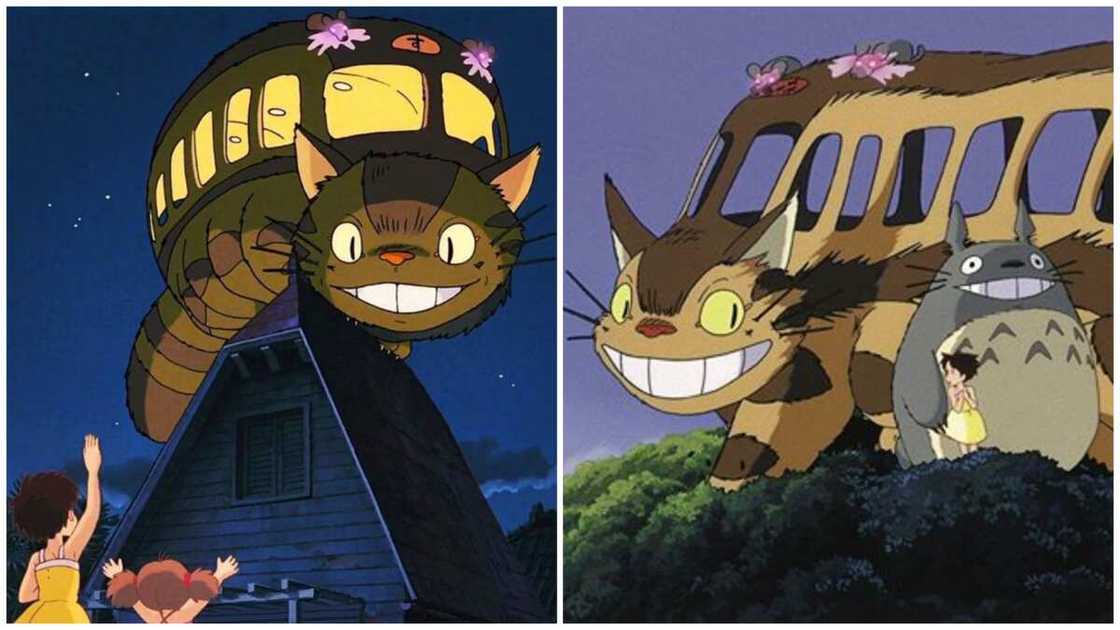 anime kittens anime kittens