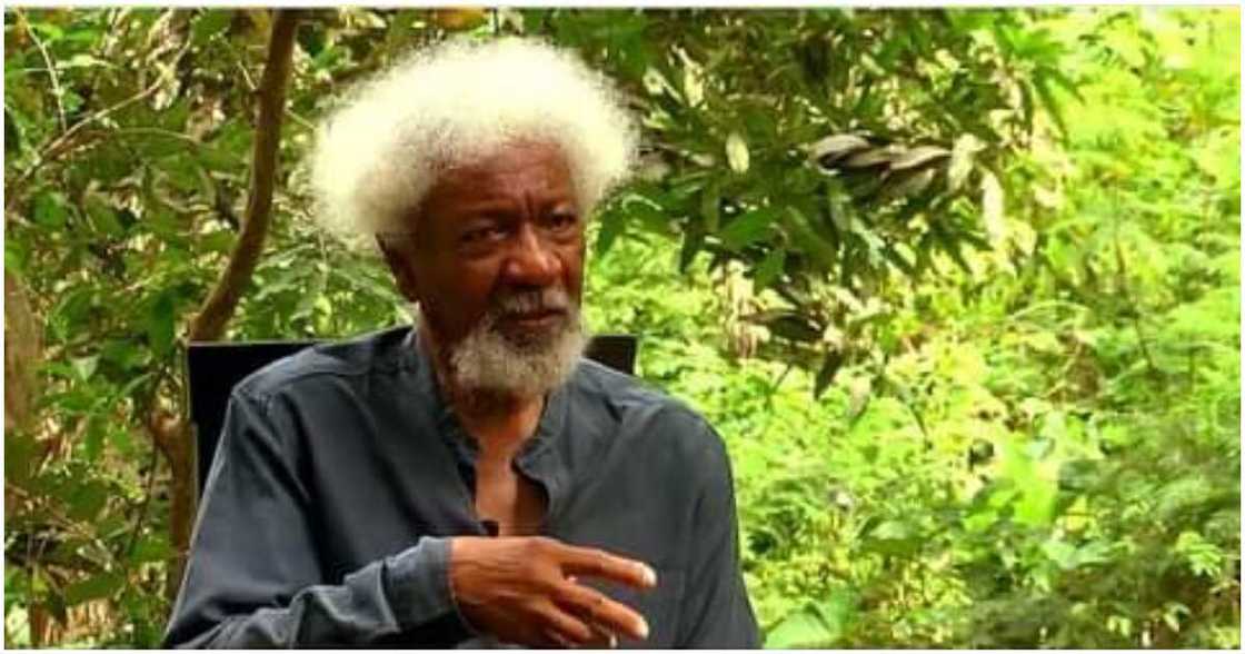 IPOB, Nobel laureate Wole Soyinka, the federal government, farmer-herder crisis, Miyetti Allah IPOB, Nobel laureate Wole Soyinka, the federal government, farmer-herder crisis, Miyetti Allah