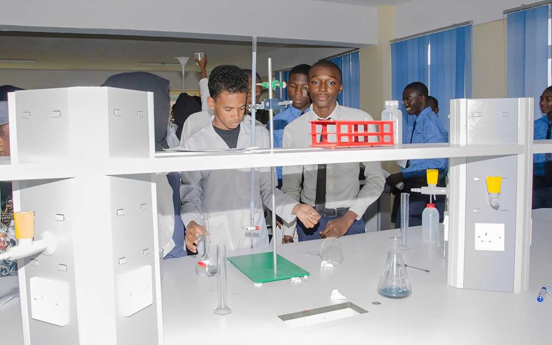 Chemistry students in a lab