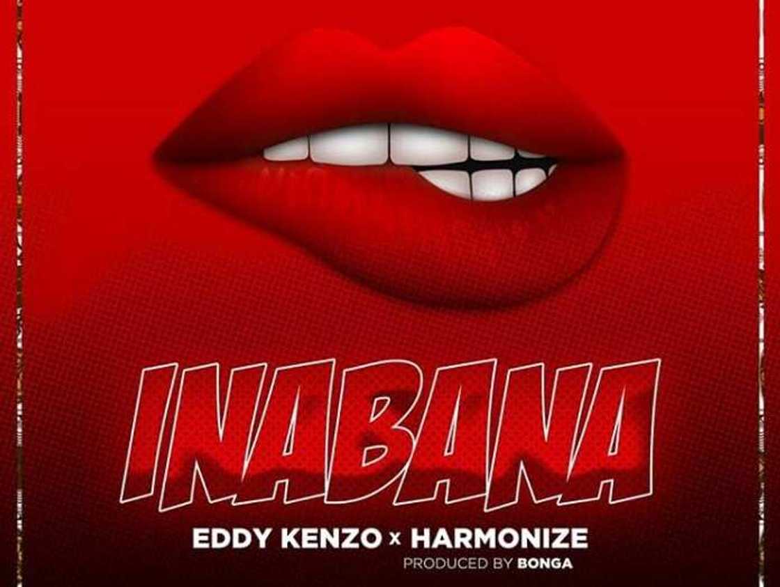 Eddy Kenzo X Harmonize - Inabana Eddy Kenzo X Harmonize - Inabana
