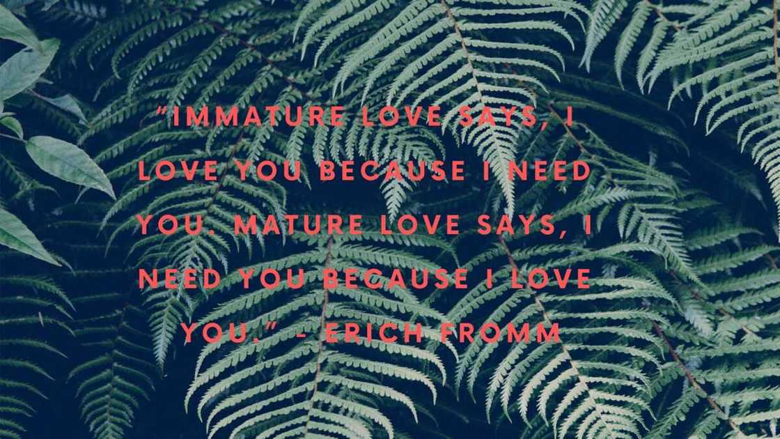 Short soulmate quotes Short soulmate quotes