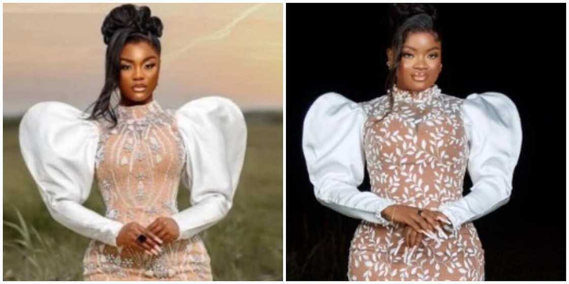 Style recreation Style recreation