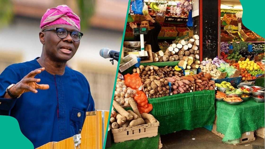 Governor of Lagos State, Babajide Sanwolu, to initiate a food programme