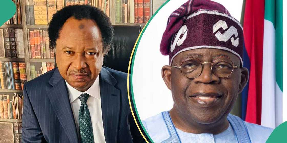 Tinubu/Latest about Bola Tinubu/Shehu Sani