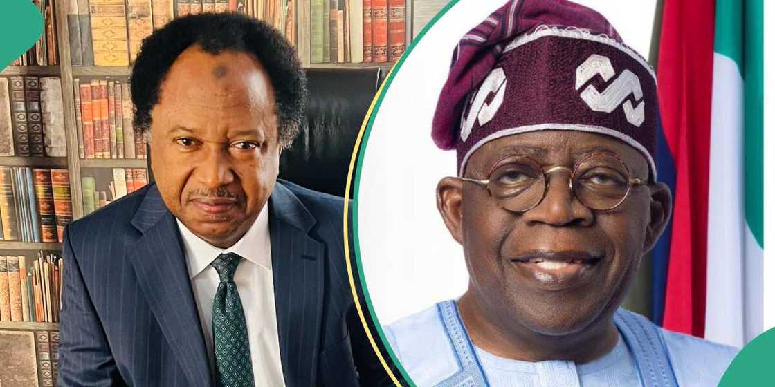 Tinubu/Latest about Bola Tinubu/Shehu Sani Tinubu/Latest about Bola Tinubu/Shehu Sani
