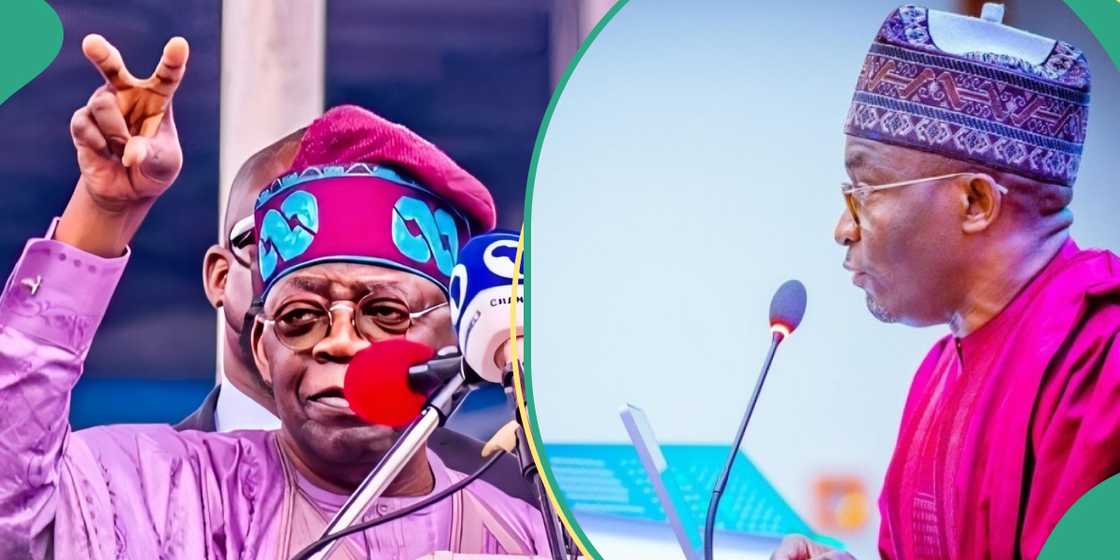 Reps begin process of establishing university for Tinubu