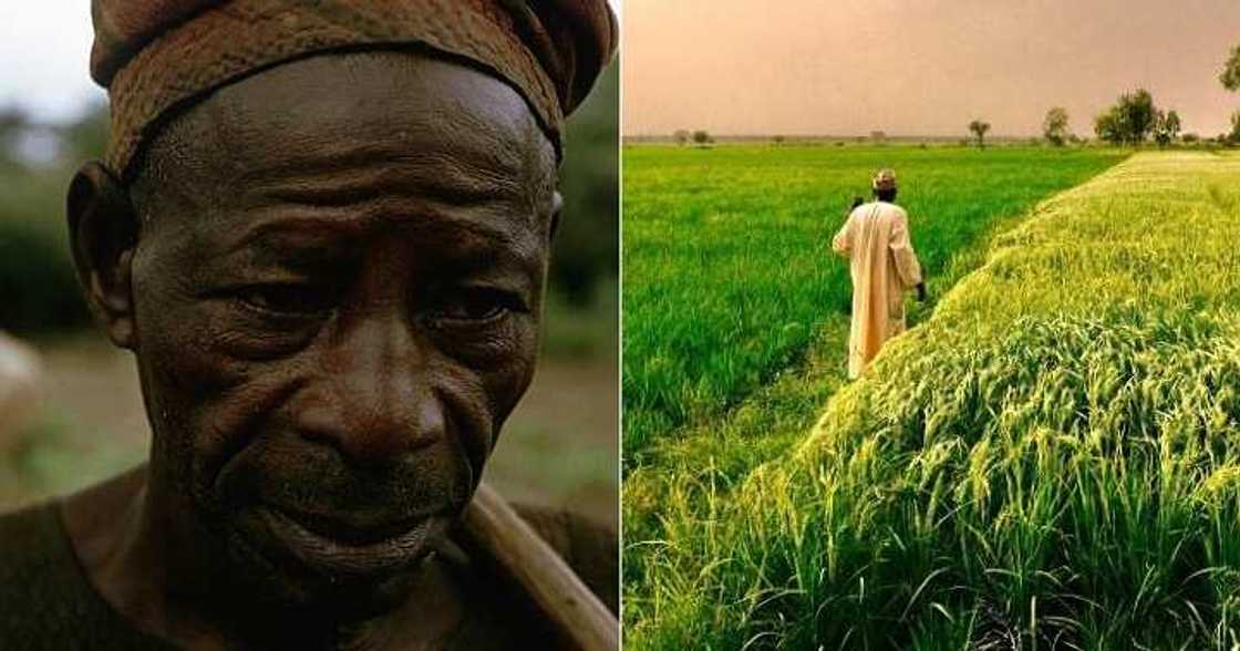 Man unable to trace his land Man unable to trace his land