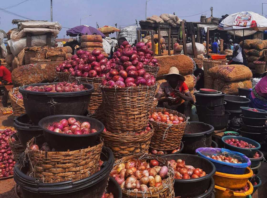 We’d rather waste farm produce instead of transporting them to the south, say northern traders We’d rather waste farm produce instead of transporting them to the south, say northern traders