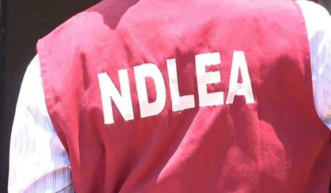 NDLEA ta kwace kwayoyin Tramadol na 2.3m, 396Kg na Codeine a Kaduna NDLEA ta kwace kwayoyin Tramadol na 2.3m, 396Kg na Codeine a Kaduna
