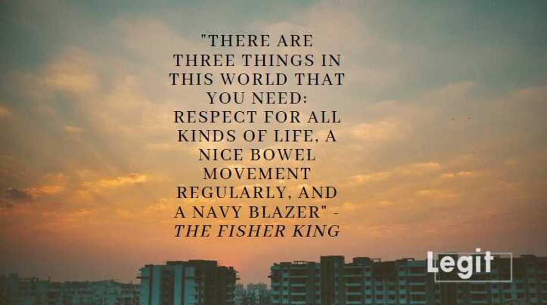 robin williams movie quotes robin williams movie quotes