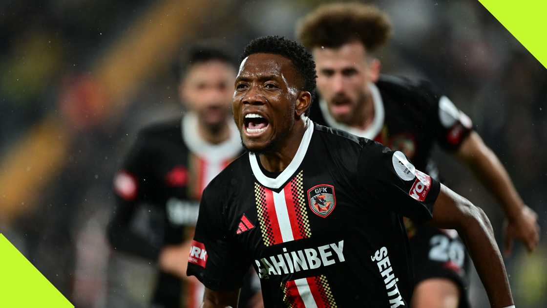 David Okereke celebrates his goal against Fenerbahce David Okereke celebrates his goal against Fenerbahce