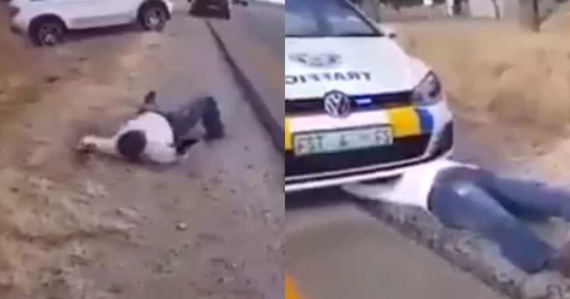 Clip of man behaving like a snake leaves Mzansi scratching their heads Clip of man behaving like a snake leaves Mzansi scratching their heads