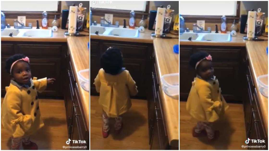 Popular Baby Shark song/beautiful kid goals. Popular Baby Shark song/beautiful kid goals.