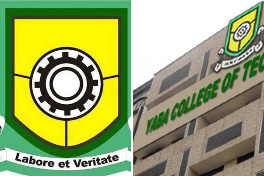 Best polytechnic in Nigeria: Top 10 educational institutions - Legit.ng