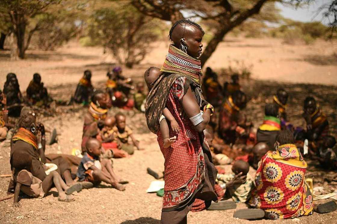 The drought has barely featured on the election agenda as Kenya's political giants have criss-crossed the country drumming up votes The drought has barely featured on the election agenda as Kenya's political giants have criss-crossed the country drumming up votes