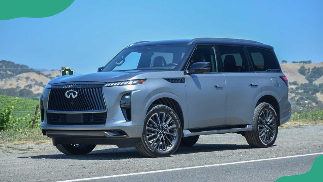 2025 Infiniti QX80