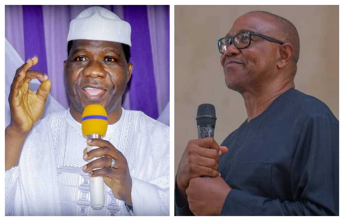 Senator Bamidele, Tinubu, Peter Obi, 2023 polls