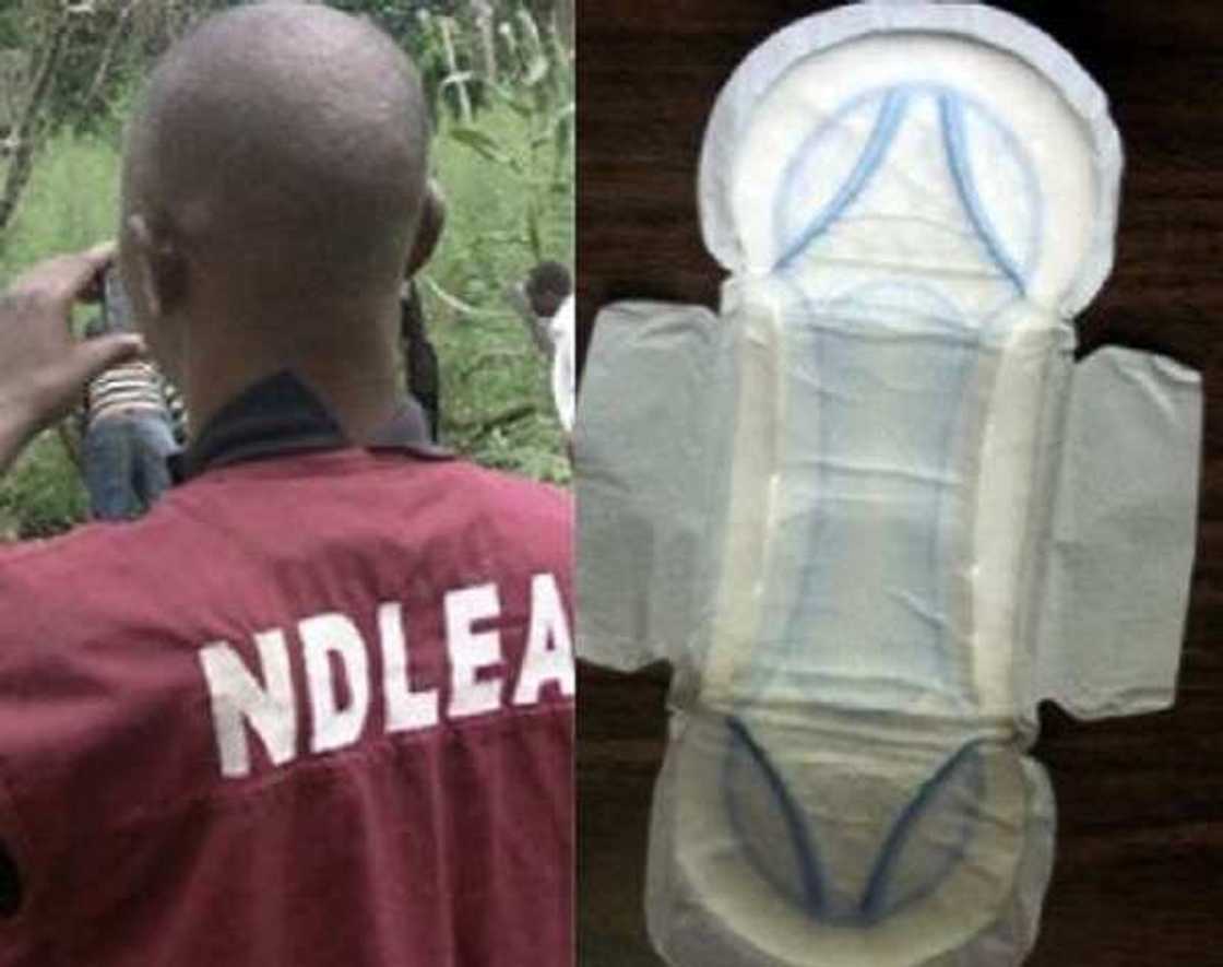 Wata sabuwa: Mata sun koma tafasa audugar mata da aka yi amfani da shi suna shan ruwan don maye - NDLEA Wata sabuwa: Mata sun koma tafasa audugar mata da aka yi amfani da shi suna shan ruwan don maye - NDLEA