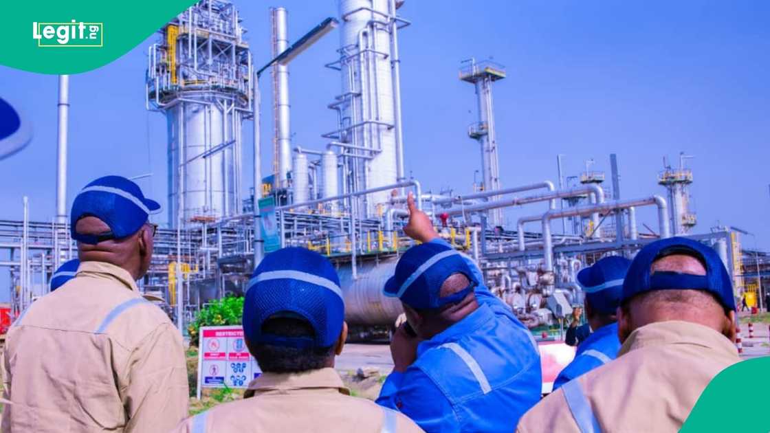 Energy Expert reveals Nigeria still imports 1 billion litres of petrol blended in Malta monthly