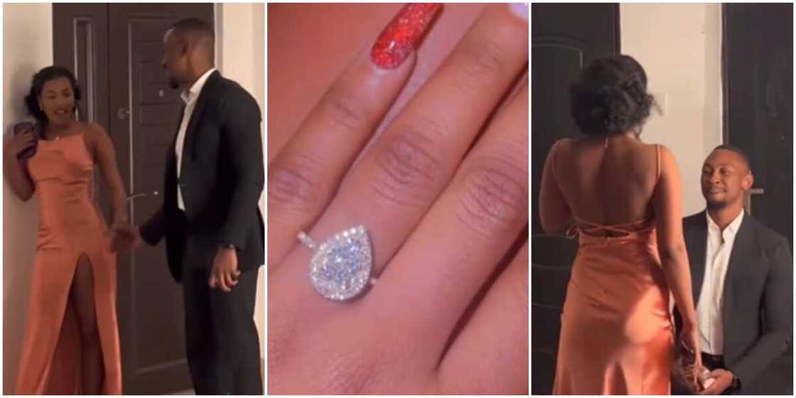 Saga proposes to Nini Saga proposes to Nini