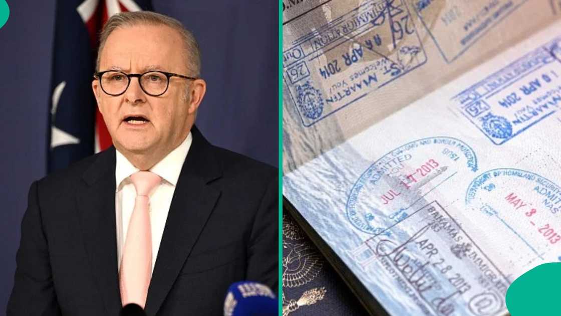 Australia lists 5 groups that may not need an English test for subclass 192 visa Australia lists 5 groups that may not need an English test for subclass 192 visa