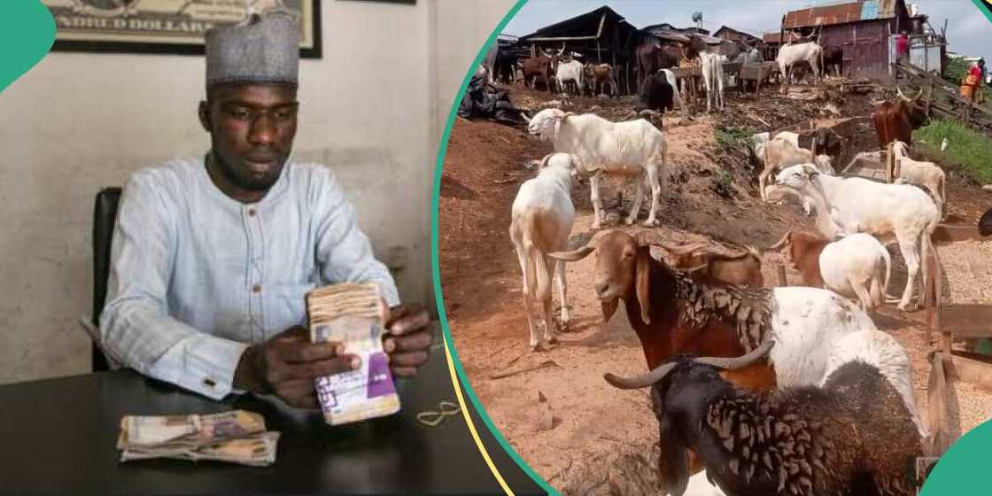 Naira depreciates against dollar Naira depreciates against dollar