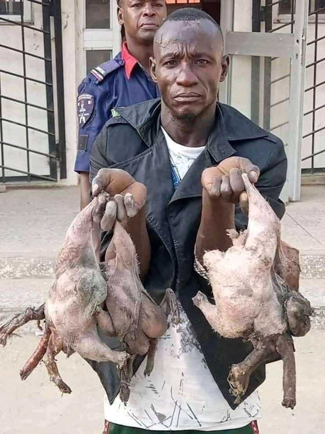 Shekaru 5 ina sayarwa mutane mushen kaji a Maiduguri, Ebere Shekaru 5 ina sayarwa mutane mushen kaji a Maiduguri, Ebere