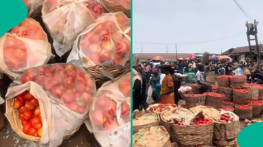 Woman who woke up early for Mile 12 market shares heartbreaking experience Woman who woke up early for Mile 12 market shares heartbreaking experience
