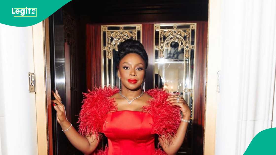 Fresh details have emerged about Chimamanda Adichie’s late twin son, Nkanu, revealing hospital negligence and a fatal dose of propofol before he was pronounced dead. Fresh details have emerged about Chimamanda Adichie’s late twin son, Nkanu, revealing hospital negligence and a fatal dose of propofol before he was pronounced dead.