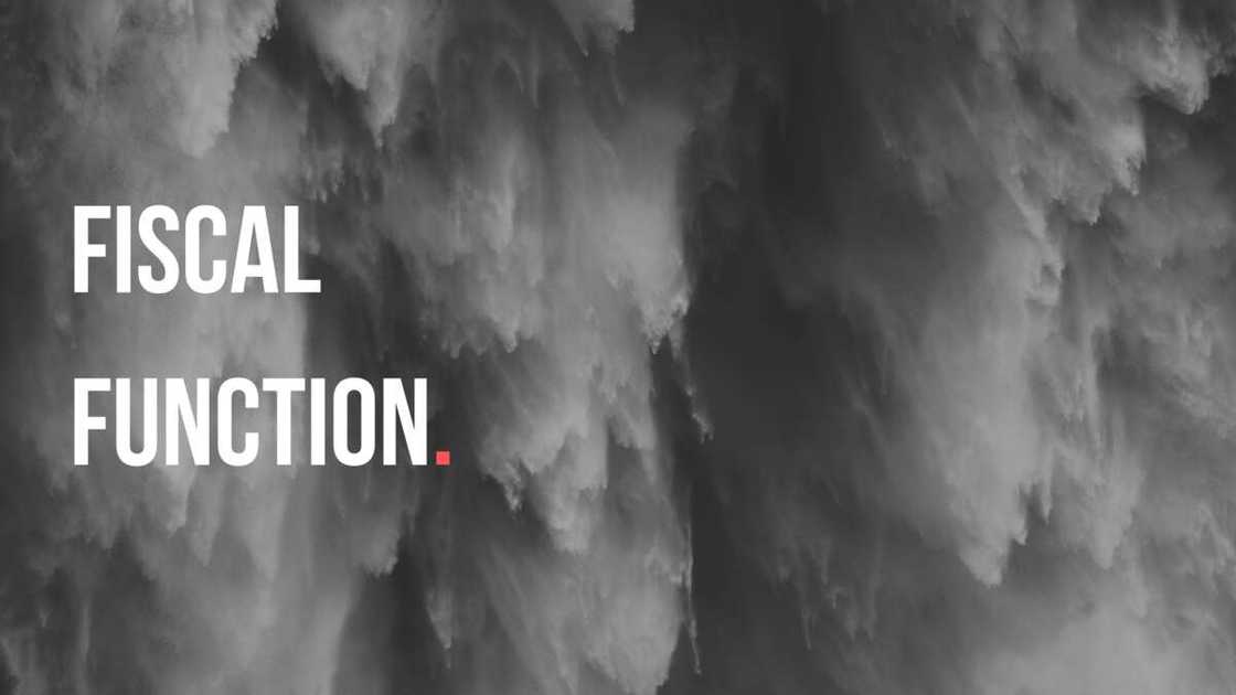 Fiscal functions of government in a state Fiscal functions of government in a state