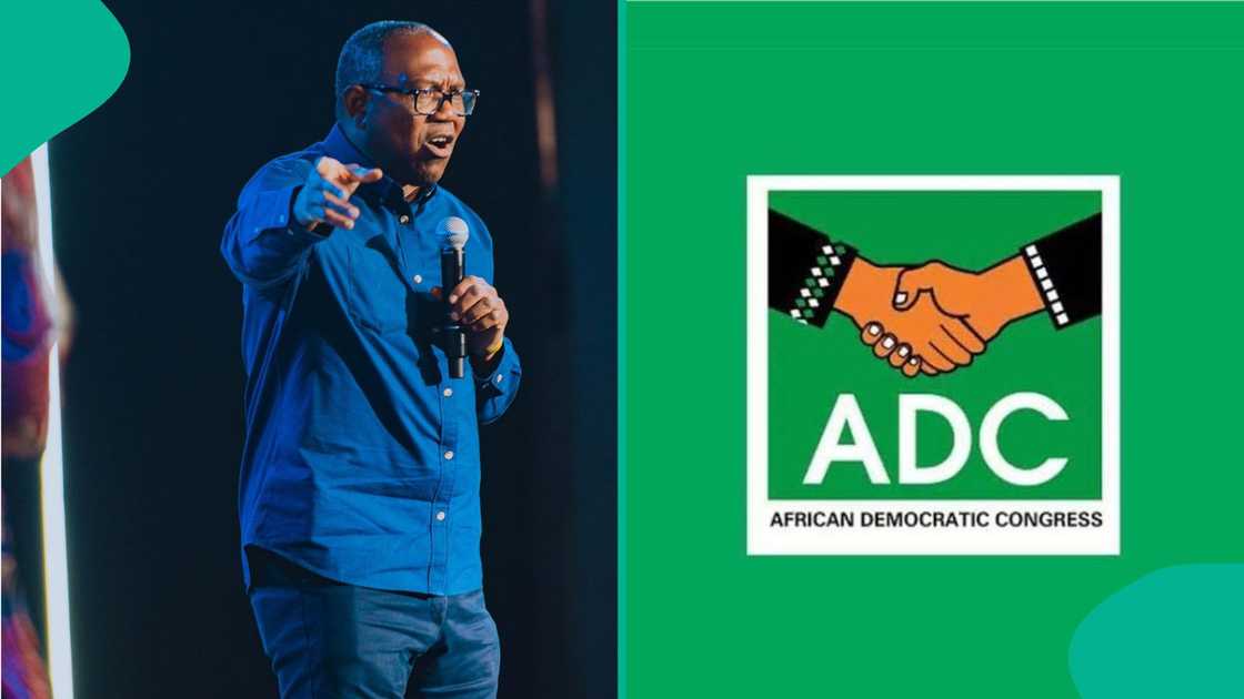 Aisha Yesufu has given condition to the ADC before Peter Obi can resign from the Labour Party.