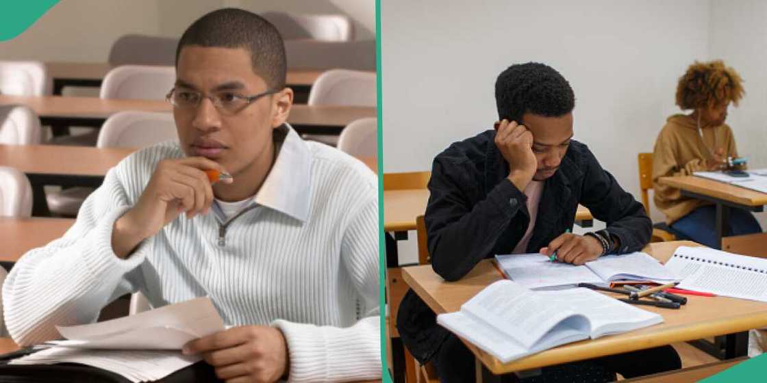 Nigerians react to university featuring "No gree for anybody" in its exam Nigerians react to university featuring "No gree for anybody" in its exam