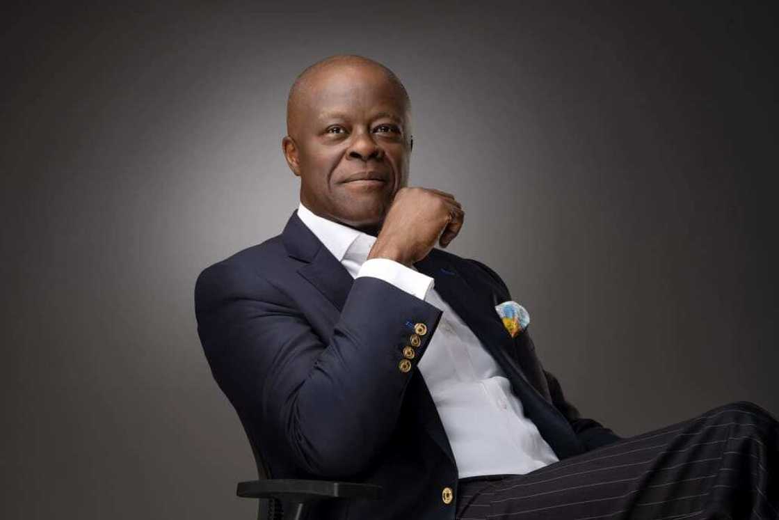 Wale Edun Tinubu adviser Wale Edun Tinubu adviser