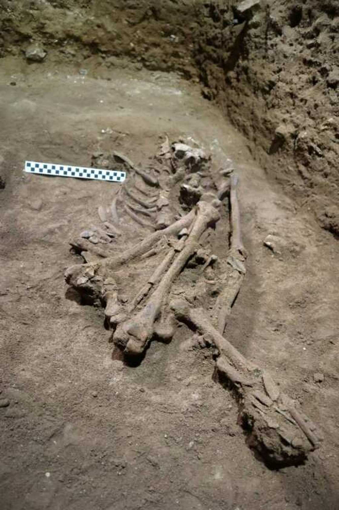 Skeletal remains of an individual dating back some 31,000 years ago are excavated at the Liang Tebo cave in Borneo’s East Kalimantan Skeletal remains of an individual dating back some 31,000 years ago are excavated at the Liang Tebo cave in Borneo’s East Kalimantan