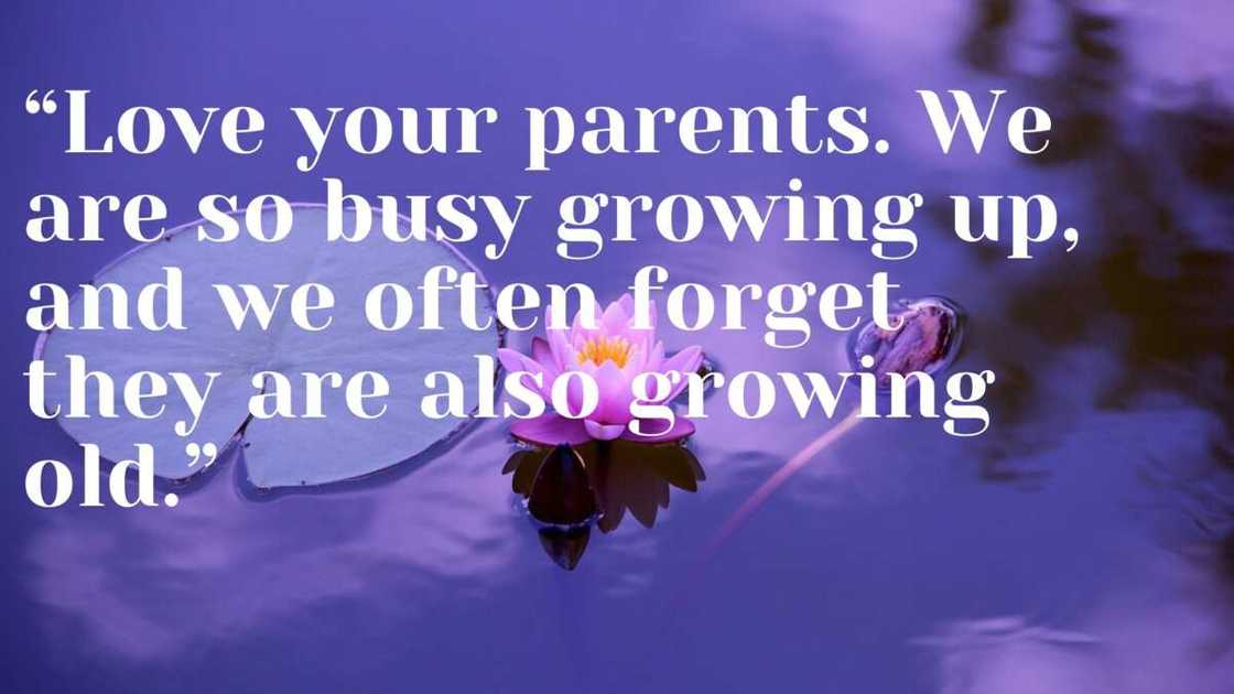 quotes on parents quotes on parents