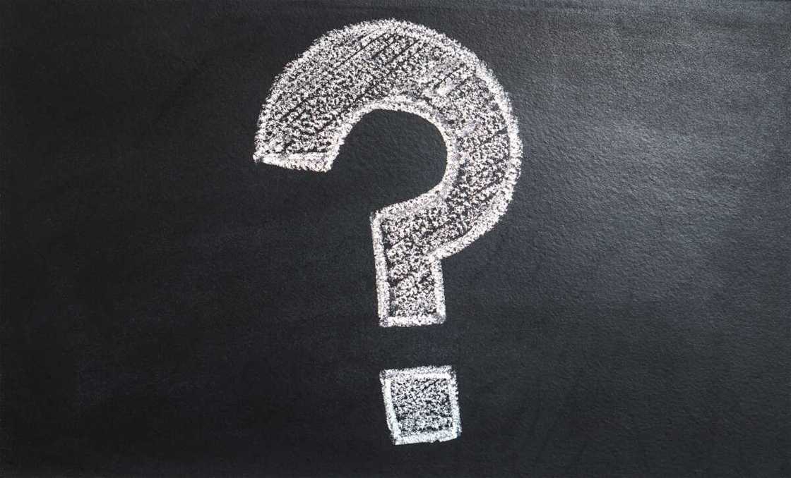 weird questions to ask weird questions to ask