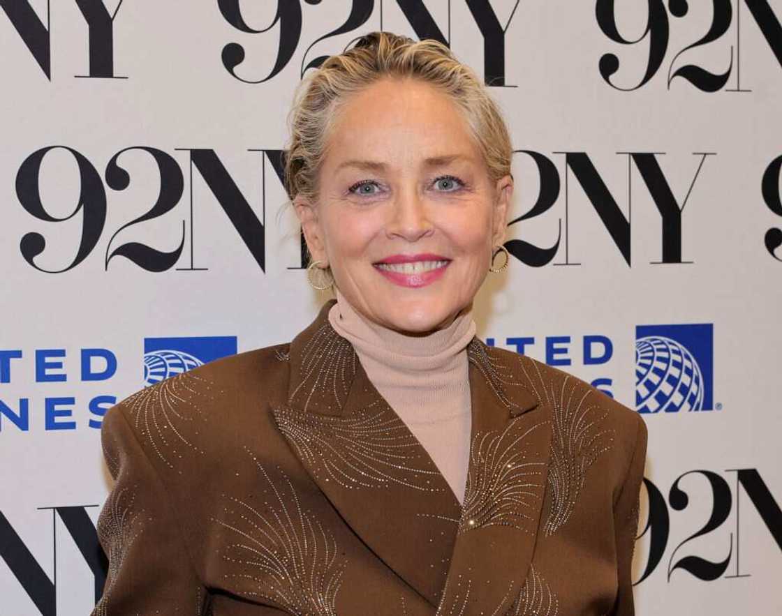 Sharon Stone at the Sharon Stone And Jerry Saltz Talk About Art Sharon Stone at the Sharon Stone And Jerry Saltz Talk About Art