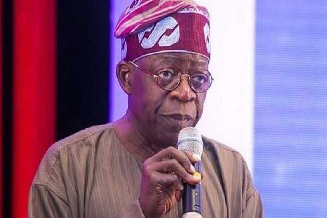 Yan Najeriya Zasu Sami Kwanciyar Hankali a Mulkin Buhari, Bola Tinubu