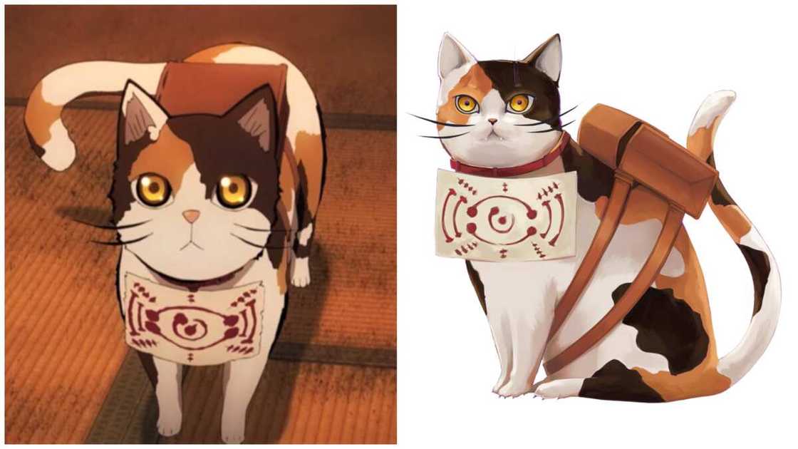 anime cats