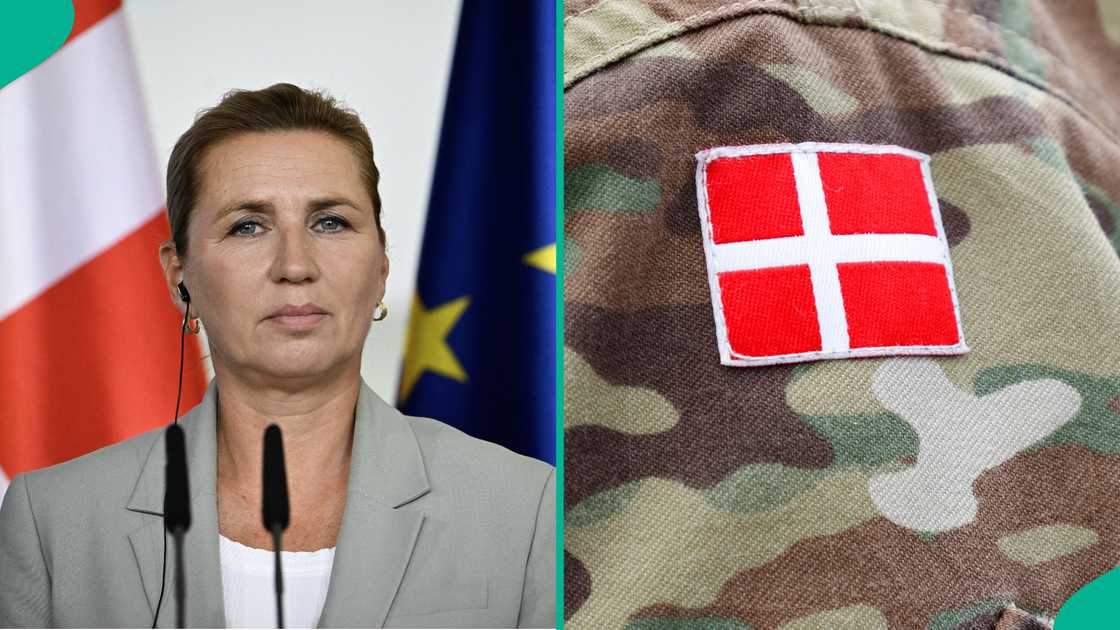 See permit foreigners must hold to join Danish military service See permit foreigners must hold to join Danish military service