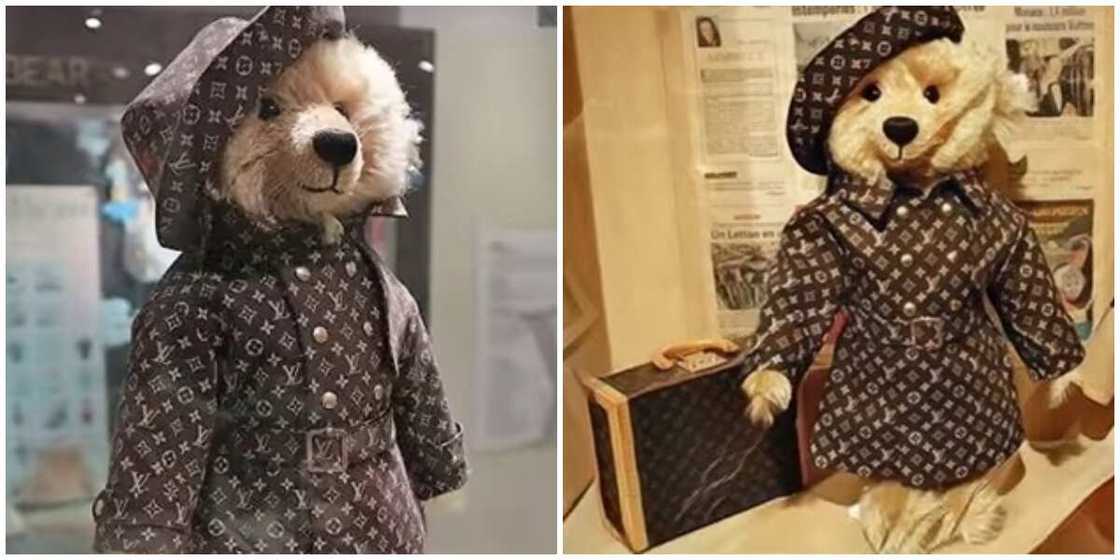 World s Most Expensive Video Shows the Louis Vuitton Teddy Bear Worth N879m Legit.ng