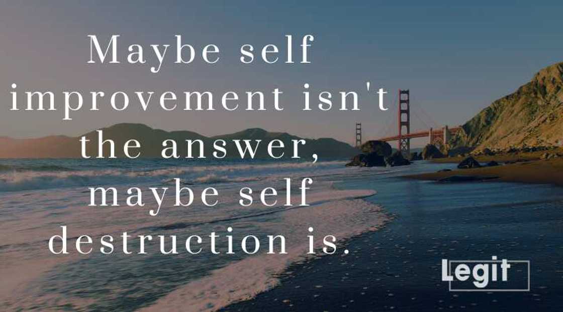 fight club quotes book fight club quotes book