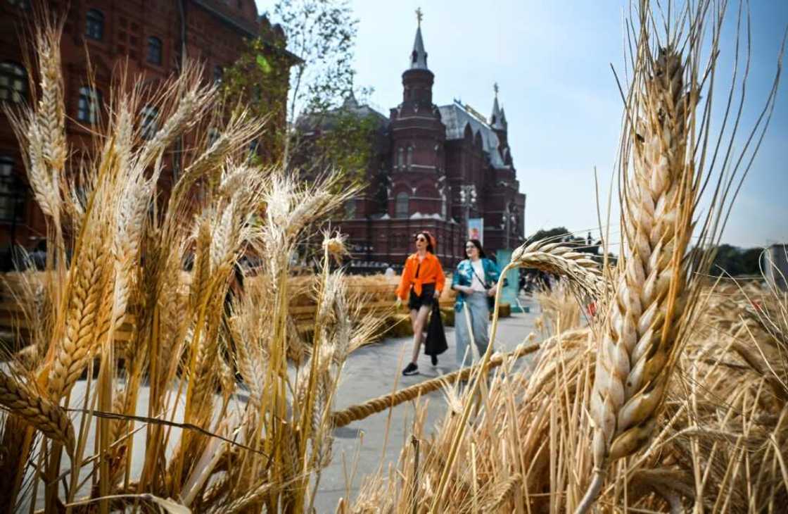 Pedestrians walk past wheat ears art installation on the edge of the Red Square in central Moscow on August 27, 2022 Pedestrians walk past wheat ears art installation on the edge of the Red Square in central Moscow on August 27, 2022