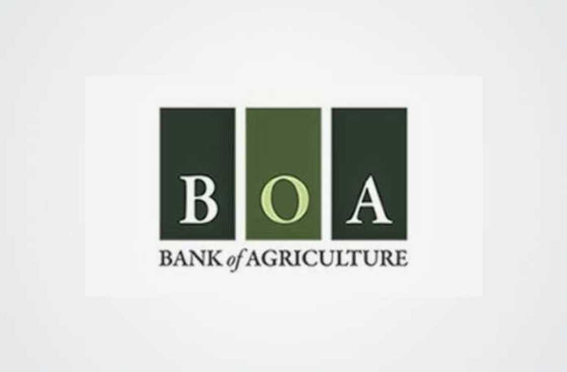 Bank of Agriculture loan requirement