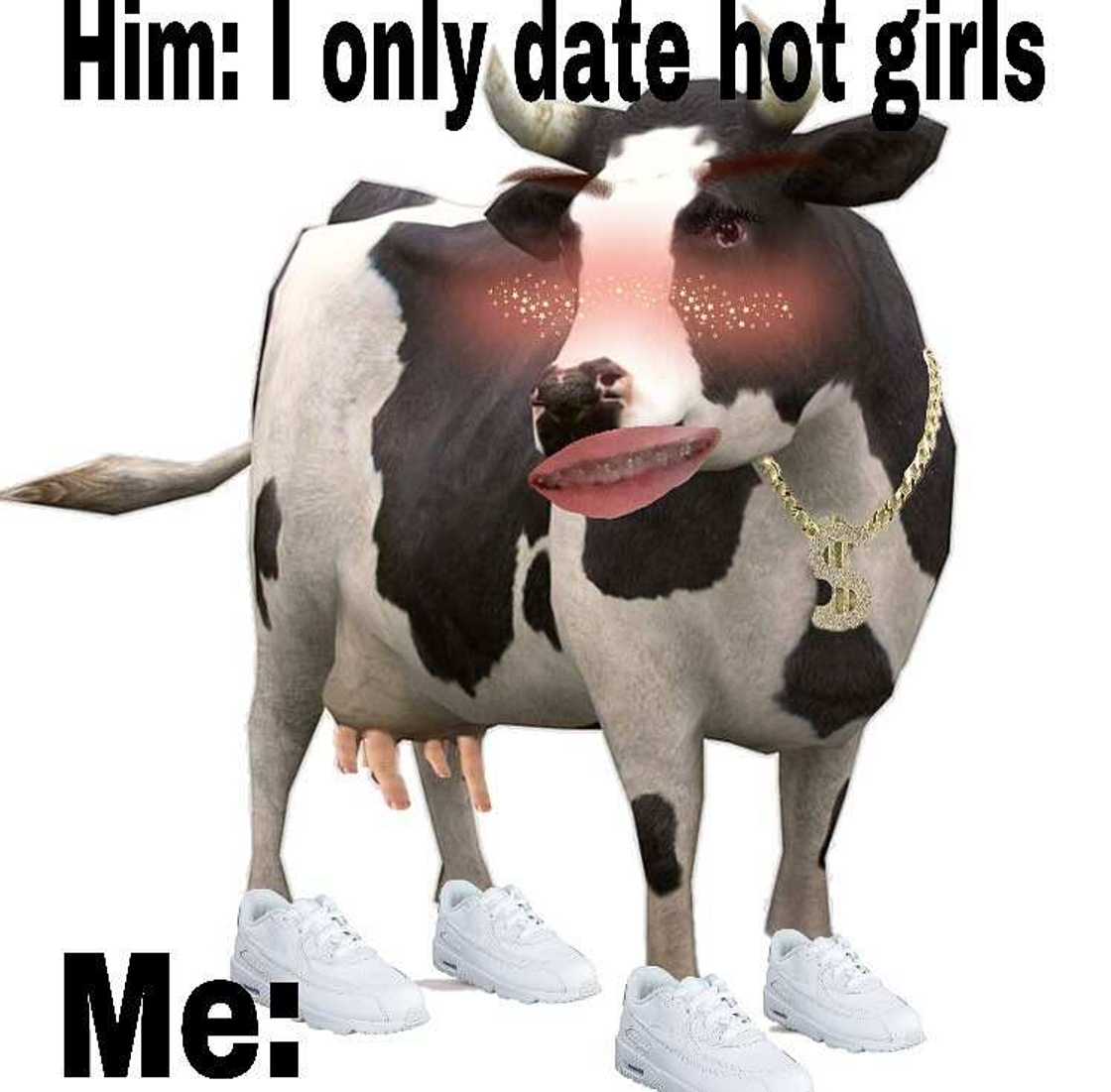 cow memes