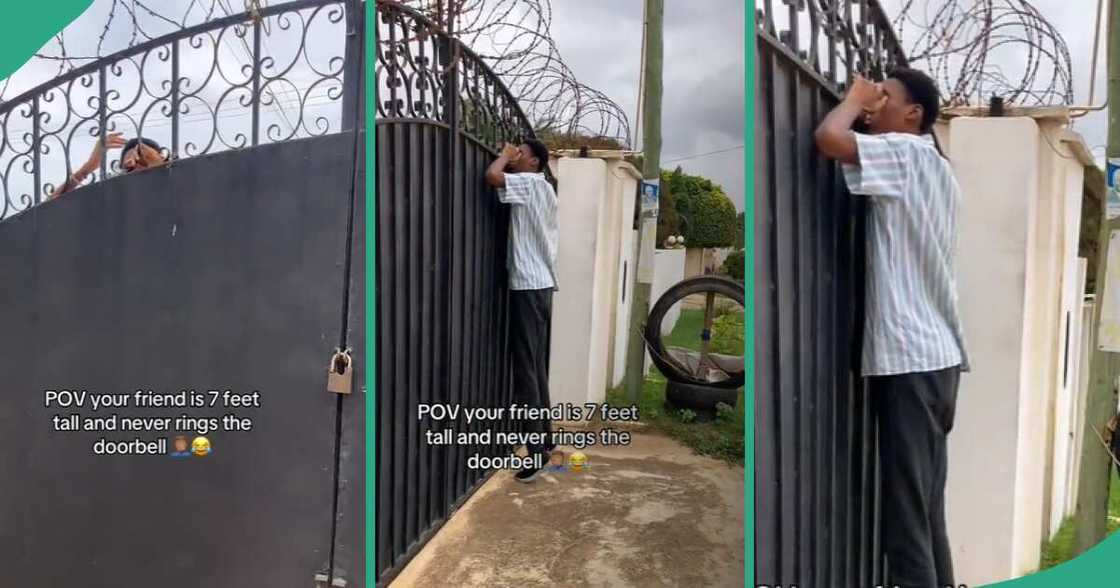 Tall man goes viral online. Tall man goes viral online.
