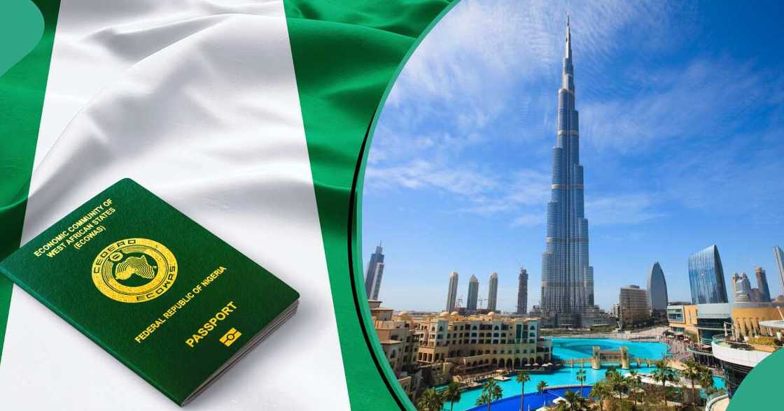UAE release multiple tourist visa UAE release multiple tourist visa