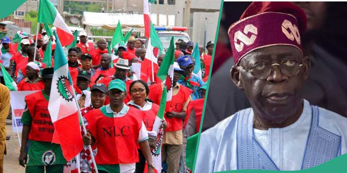 Labour Union and President Tinubu