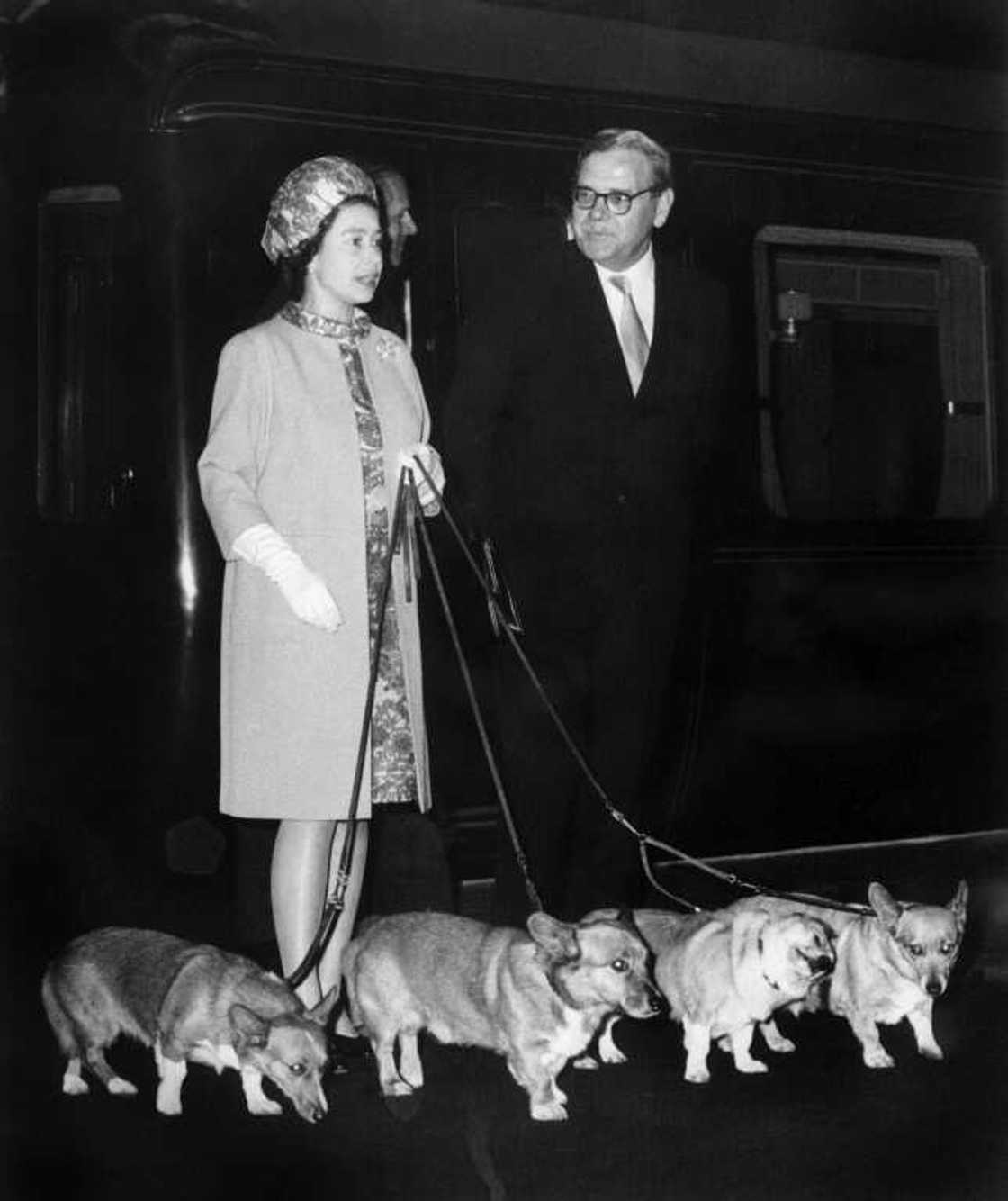 Corgis were constant companions throughout the queen's life